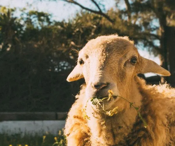 Joya Del Jable Nyaraló