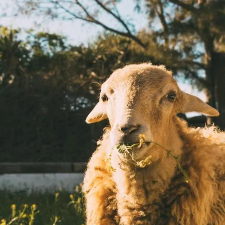 Joya Del Jable Ferienhaus